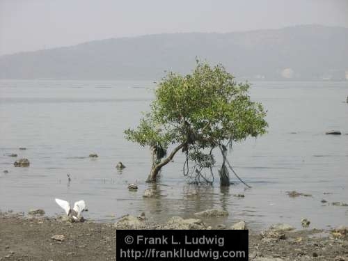 Elephanta Island, Maharashtra, Bombay, Mumbai, India